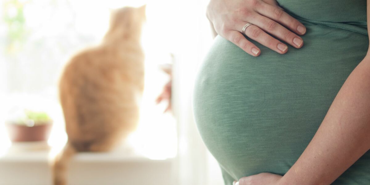 A quoi faire attention quand on n’est pas immunisé contre la toxoplasmose ?